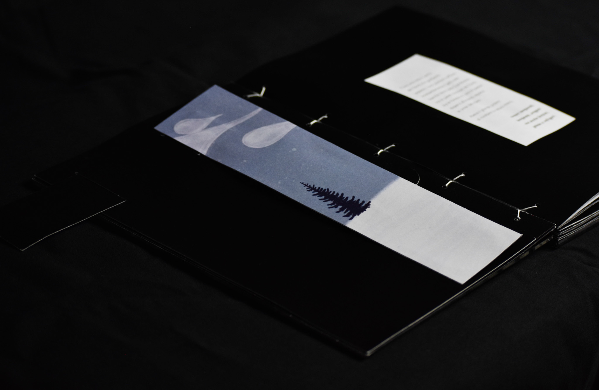 Aurora pop-up book — page 2